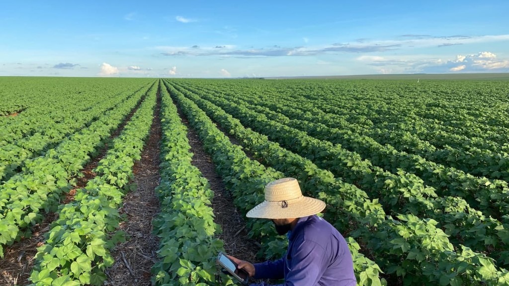 Agronegócio sustenta exportações e já responde por 27% do PIB brasileiro