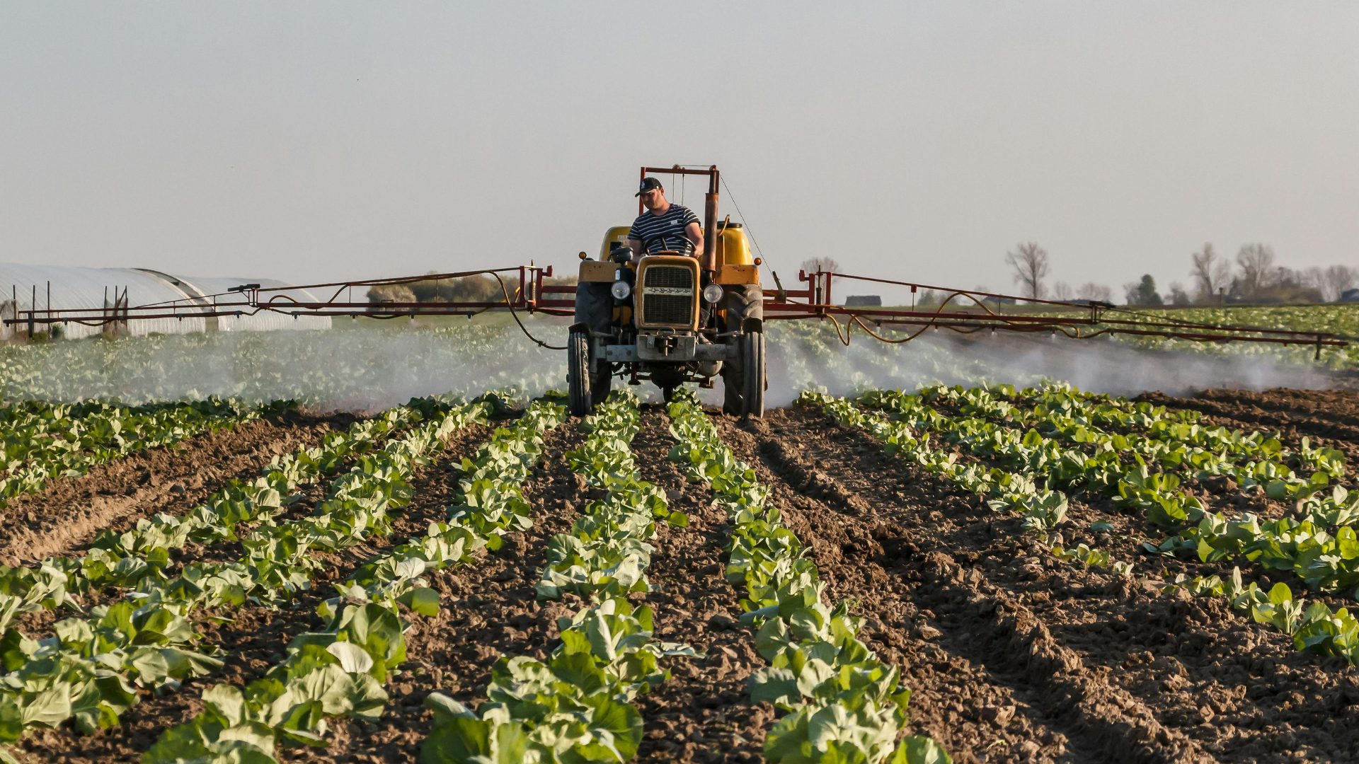 Guerra no Irã pressiona fertilizantes e acende alerta sobre impacto global nos alimentos